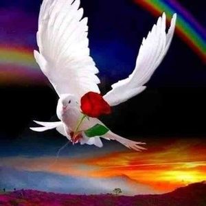 Meet your Posher, Ada